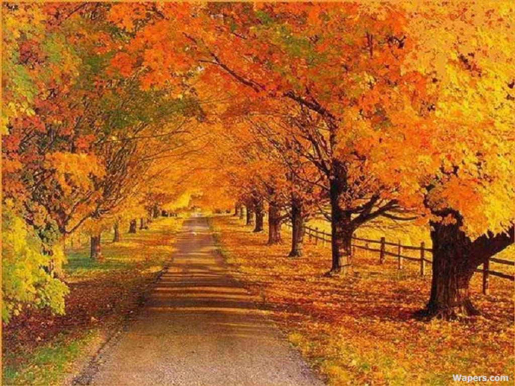 autumn
